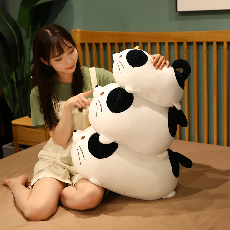 Kawaii Lovely Dumpling Cat 35-60CM
