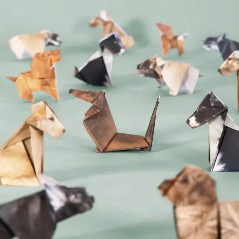 DIY Origami Paper Handmade Animals 50 Sheets