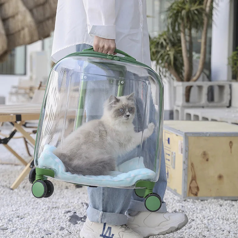 Stylish Transparent Ventilated Pet Luggage Trolley Case