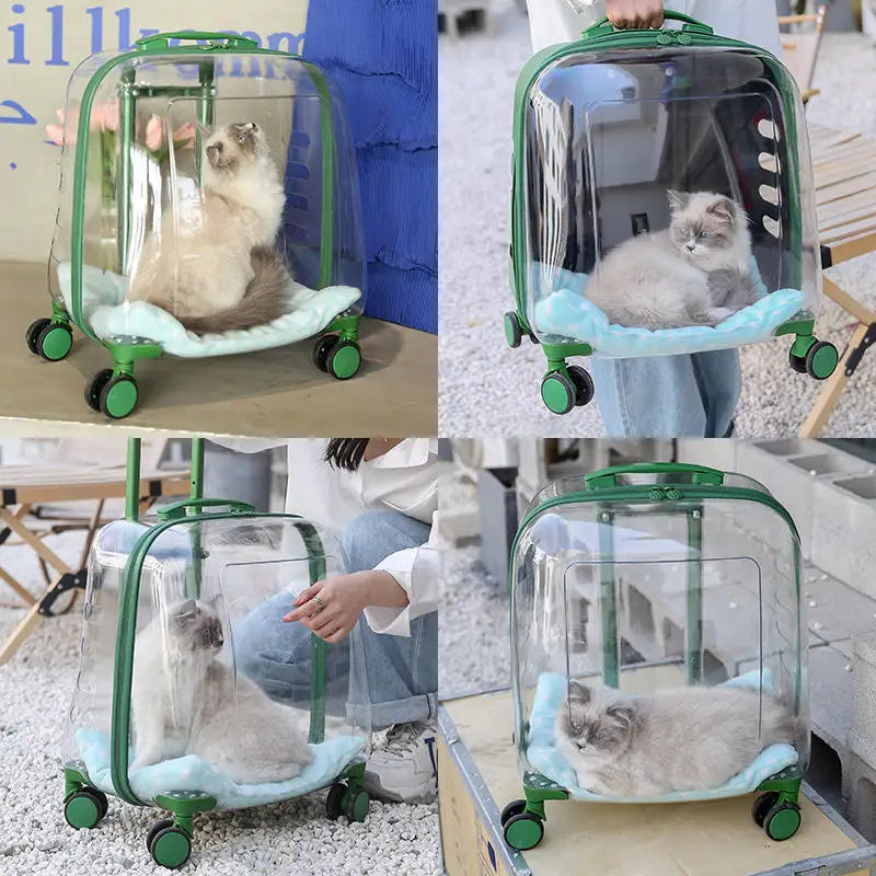 Stylish Transparent Ventilated Pet Luggage Trolley Case