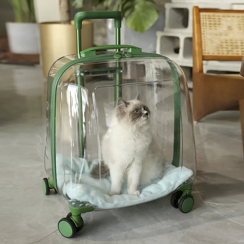 Stylish Transparent Ventilated Pet Luggage Trolley Case