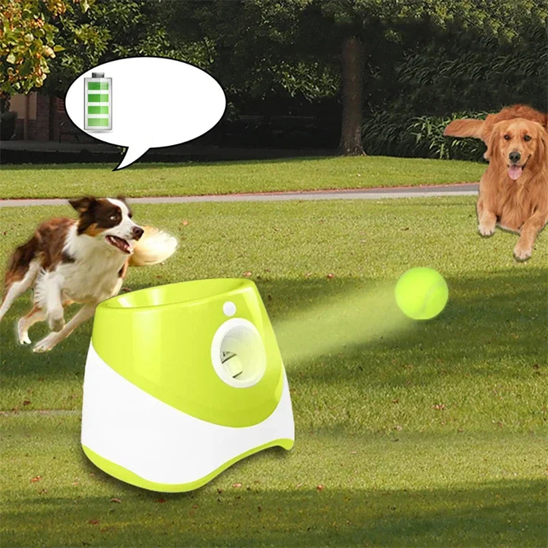 Interactive Dog Tennis Automatic Launcher