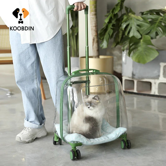 Stylish Transparent Ventilated Pet Luggage Trolley Case