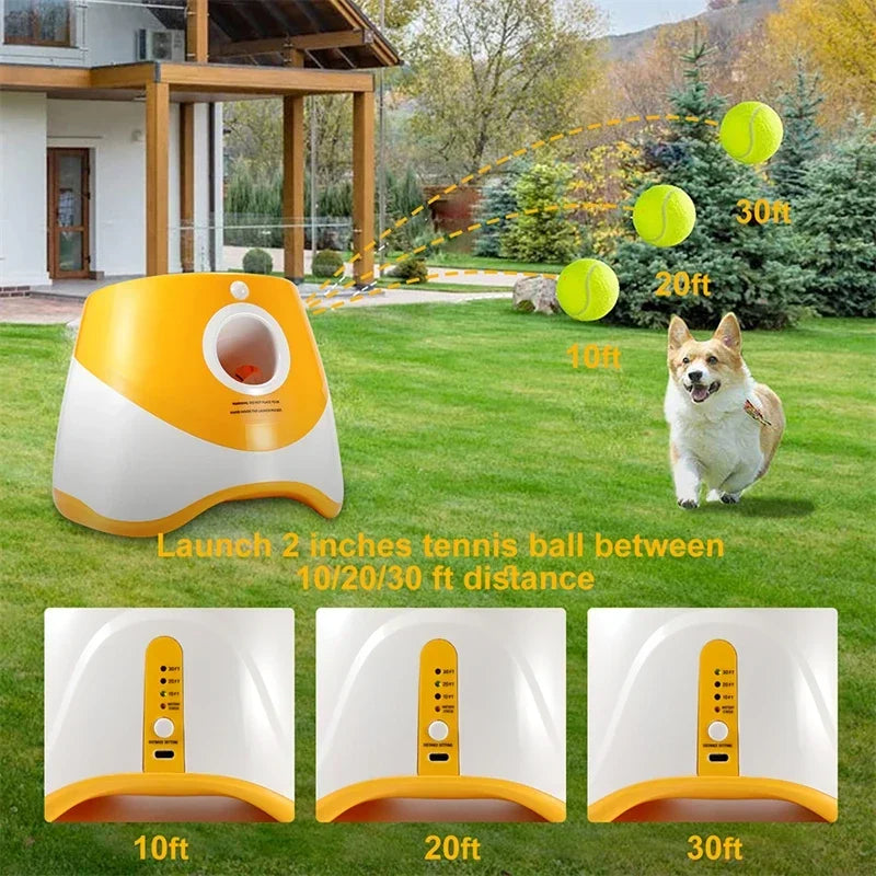 Interactive Dog Tennis Automatic Launcher